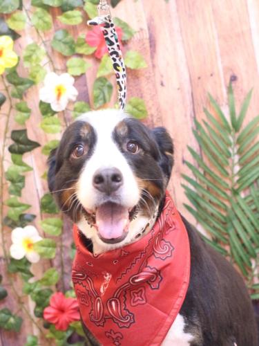 20230801はるちゃん